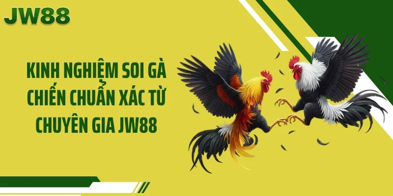 Kinh Nghiệm Soi Gà Chiến Chuẩn Xác Từ Chuyên Gia JW88