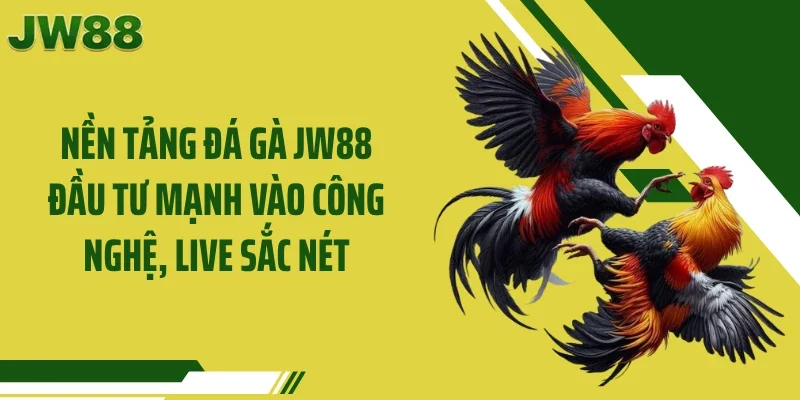 Nền tảng đá gà JW88 đầu tư mạnh vào công nghệ, live sắc nét