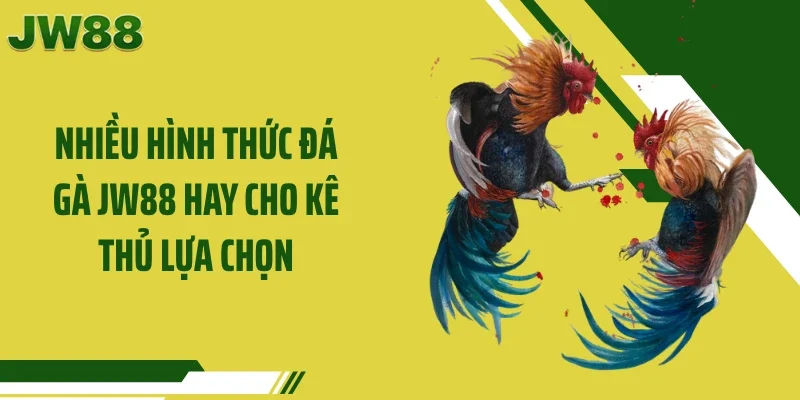 Nhiều hình thức đá gà JW88 hay cho kê thủ lựa chọn