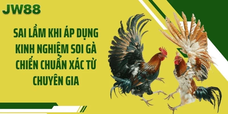 Sai lầm khi áp dụng kinh nghiệm soi gà chiến chuẩn xác từ chuyên gia